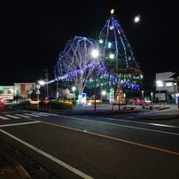 道路の向かい側のイルミ（12月5日）