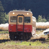SIGMA(シグマ)のレンズ APO 50-500mm F4.5-6.3 DG OS HSM (ソニー用