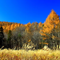 CANON(キヤノン)のレンズ EF17-35mm F2.8L USM で撮影した写真(画像