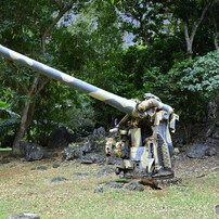 四十五口径十年式  十二糎高角砲