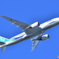 SIGMA(シグマ)のレンズ APO 150-500mm F5-6.3 DG OS HSM (ﾆｺﾝ用) で