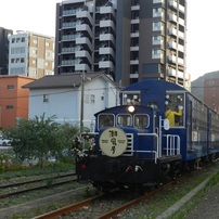 NIKON(ニコン)のデジタルカメラCOOLPIX P500 で撮影した写真(画像)一覧