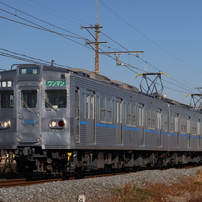 CANON(キヤノン)のレンズ EF-S55-250mm F4-5.6 IS STM で撮影した写真