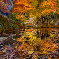 TAMRON(タムロン)のレンズ SP 15-30mm F/2.8 Di VC USD (Model A012