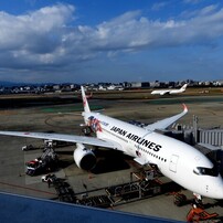 「福岡空港2025」10　JAL1367