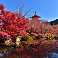 TAMRON(タムロン)のレンズ SP 15-30mm F/2.8 Di VC USD (Model A012