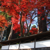 NIKON(ニコン)のレンズ AF-S DX VR Zoom-Nikkor 18-200mm f/3.5-5.6G