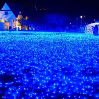 OLYMPUS(オリンパス)のレンズ M.ZUIKO DIGITAL 25mm F1.8 [ブラック