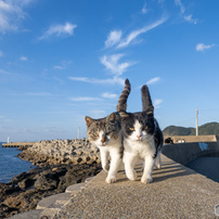 お～。突っ込んで来る～。しかもダブルで。