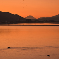 NIKON(ニコン)のデジタル一眼D5600 で撮影した写真(画像)一覧- 写真