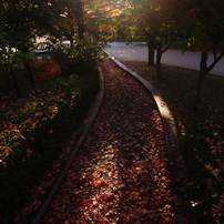 PENTAX(ペンタックス)のレンズ FAズーム20-35mmF4 AL で撮影した写真