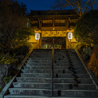 SIGMA(シグマ)のレンズ 24mm F1.4 DG DN [ソニーE用] で撮影した写真