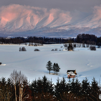 NIKON(ニコン)のレンズ AF-S NIKKOR 28-300mm f/3.5-5.6G ED VR で撮影