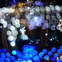 SONY(ソニー)のミラーレス一眼α NEX-6 で撮影した写真(画像)一覧- 写真