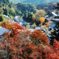 OLYMPUS(オリンパス)のデジタルカメラu1060,S1060 で撮影した写真(画像