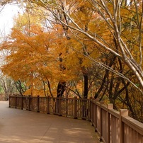 FUJIFILM(富士フイルム)のデジタルカメラFUJIFILM X20 で撮影した写真