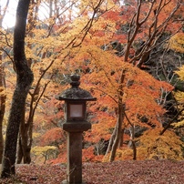 NIKON(ニコン)のデジタルカメラCOOLPIX A900 で撮影した写真(画像)一覧