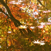 トレンド集合 No24