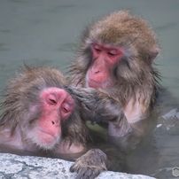 NIKON(ニコン)のデジタル一眼D5600 で撮影した写真(画像)一覧- 写真