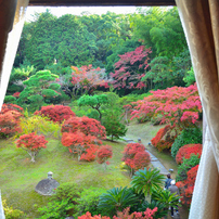 NIKON(ニコン)のデジタル一眼D7000 で撮影した写真(画像)一覧- 写真