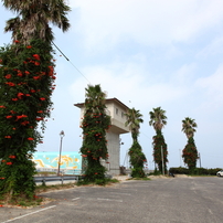 海岸通り