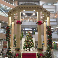 RICOH(リコー)のデジタルカメラGR DIGITAL III で撮影した写真(画像