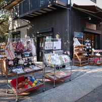 RICOH(リコー)のデジタルカメラGR DIGITAL III で撮影した写真(画像