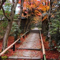 CANON(キヤノン)のデジタル一眼EOS Kiss X5 で撮影した写真(画像)一覧