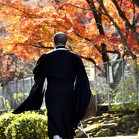 NIKON(ニコン)のレンズ AF-S DX NIKKOR 18-300mm f/3.5-5.6G ED VR で