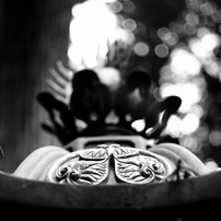 KYOCERA(京セラ)のレンズ Carl Zeiss Sonnar T*90mm F2.8 で撮影した