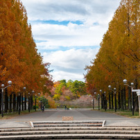 20251203_大阪出張‗DSC_3576-2