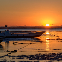 NIKON(ニコン)のレンズ NIKKOR Z DX 50-250mm f/4.5-6.3 VR で撮影した