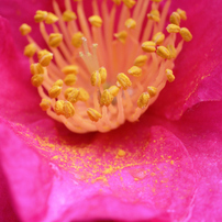 NIKON(ニコン)のデジタル一眼D7200 で撮影した写真(画像)一覧- 写真