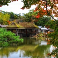 【❤人気機種❤】Canon EOS Kiss X5 自撮り・風景撮影に♫ キヤノン EOS Kiss X5《京都の猫 撮影レビュー》