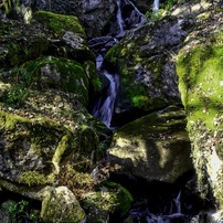 NIKON(ニコン)のレンズ AF-S DX NIKKOR 35mm f/1.8G で撮影した写真