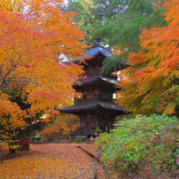 PENTAX(ペンタックス)のレンズ smc PENTAX-DA 17-70mmF4 AL[IF] SDM で