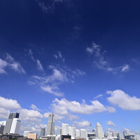 NIKON(ニコン)のレンズ AF-S DX Zoom-Nikkor 12-24mm f/4G IF-ED で