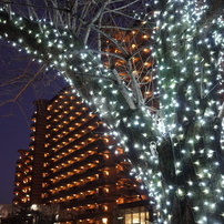 SONY(ソニー)のレンズ Sonnar T* E 24mm F1.8 ZA SEL24F18Z で撮影した