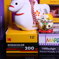 CANON(キヤノン)のデジタル一眼EOS 40D で撮影した写真(画像)一覧