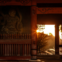 CANON(キヤノン)のレンズ EF28-70mm F2.8L USM で撮影した写真(画像