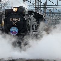 PANASONIC(パナソニック)のデジタルカメラLUMIX DMC-FZ100 で撮影した