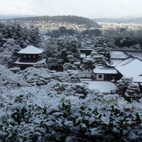 PANASONIC(パナソニック)のデジタルカメラLUMIX DMC-FZ100 で撮影した