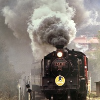 NIKON(ニコン)のレンズ AF-S DX Zoom-Nikkor 18-70mm f/3.5-4.5G IF-ED