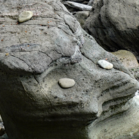 PANASONIC(パナソニック)のデジタルカメラLUMIX DC-TZ90 で撮影した