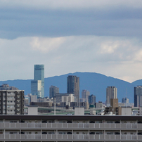 CANON(キヤノン)のレンズ EF100-300mm F4.5-5.6 USM で撮影した写真