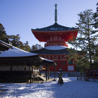 根本大塔と御影堂