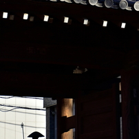 NIKON(ニコン)のレンズ AF-S DX NIKKOR 18-140mm f/3.5-5.6G ED VR で