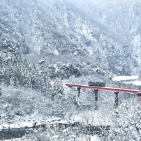 NIKON(ニコン)のレンズ AF-S DX NIKKOR 18-200mm f/3.5-5.6G ED VR II