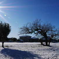 PANASONIC(パナソニック)のレンズ LUMIX G X VARIO 12-35mm/F2.8 II