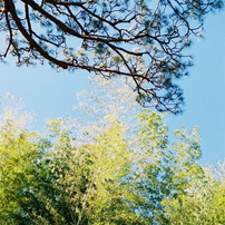 PENTAX(ペンタックス)のフィルムカメラKX で撮影した写真(画像)一覧